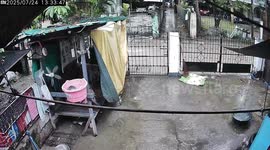 Pet dogs tend to puppy brutally hurled over family's gate