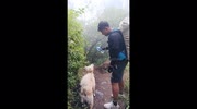 temp