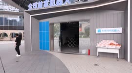 China: World's first robot 6S store opens in south China's Shenzhen