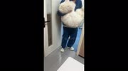 temp