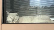 temp