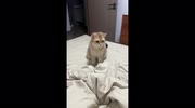 temp