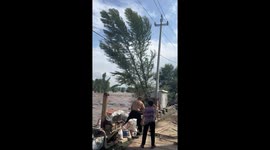 Community builds barrier as flash flood sweeps away tree in Hebei, China