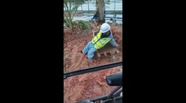 Worker stuck in mud rescued by excavator in Guangdong, China