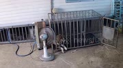 temp