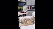 temp