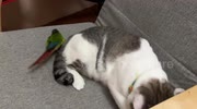 temp