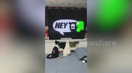 Cats watch vegetables dance on big screen TV