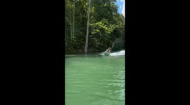 Jetski rider falls during stunt attempt at Norris Lake in LaFollette, Tennessee, USA