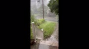 temp