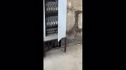 temp