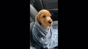 temp