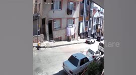 Cat escapes from collapsing balcony in Turkey