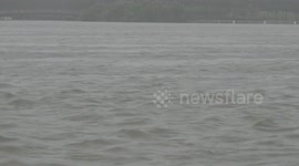 China: Shanghai activates emergency response as Typhoon Co-May lands