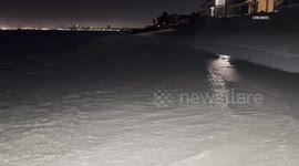 US, Los Angeles: Long Beach Locals Catch Late Night Glimpse Amid Tsunami Alert With Sound On Tape