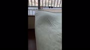 temp