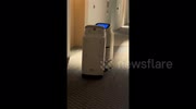 temp