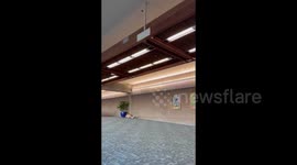 Pacific Tsunami: Maui Airport Orders Passengers To Evacuate To Higher Ground