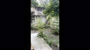temp