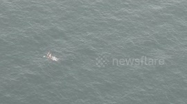 Iran: The Iranian Army launch the Zolfaghar 1403 military drills 5