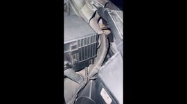Check your car before starting the engine!