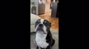 temp