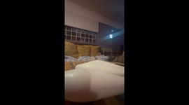 Cat Loves to Watch Juggling