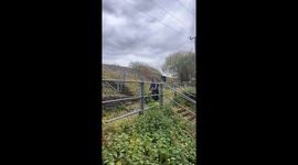 Dad accepts son's dare to ride down steps and ends up rolling down