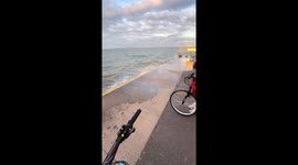 Rats emerge from shore wall after waves crash in Iceland