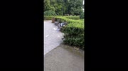 temp