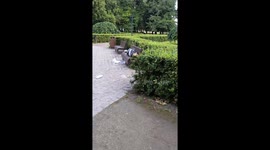 Fountain fills with foam after detergent spill in Tallinn, Estonia