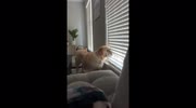 temp