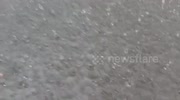 temp