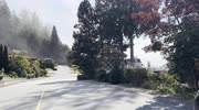 temp