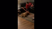 temp