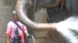 Thailand: Cambodia-Thailand border tensions strain local livelihoods, tourism in Surin