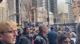 March across Sydney Harbour Bridge in support of Palestine