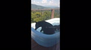 temp