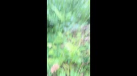 POV: Experience what it’s like to fly off the tracks in real-life Mario Mart!