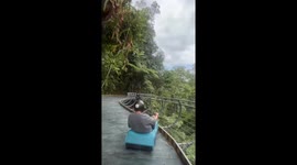 POV: Experience what it’s like to fly off the tracks in real-life Mario Mart!