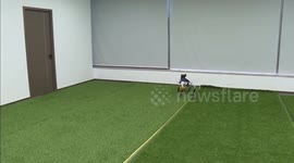 China: East China city becomes industrial hub for embodied intelligent robots