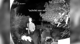 Moment teen goes full kung fu master - on a moth