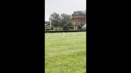 The birds are huddled in the middle of a park in Glasgow, Scotland, trying to stay safe from the strong storm winds.