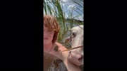 temp
