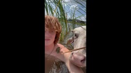 Texas man swims and snuggles with pet buffalo in viral video