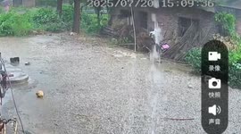 Tree obliterated by lightning strike as woman walks by with umbrella