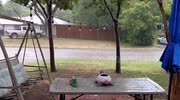 temp