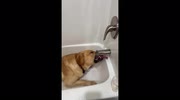 temp