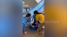 Teacher uses basin to move children through flooded school