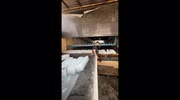 temp